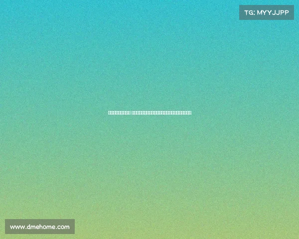 世界有哪些格斗赛事 全球格斗赛事全面盘点涵盖各类顶尖比赛组织详细介绍