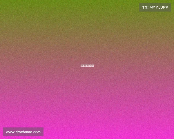 中国桥牌网全国赛事