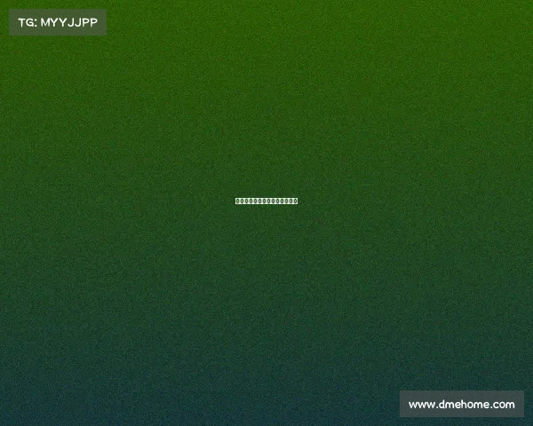 突尼斯和英格兰赛事突尼斯国家