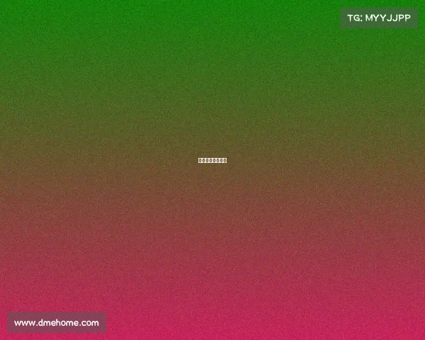 世界杯的赛事安排